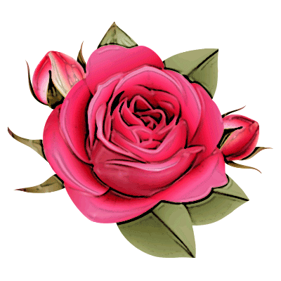 Red Rose